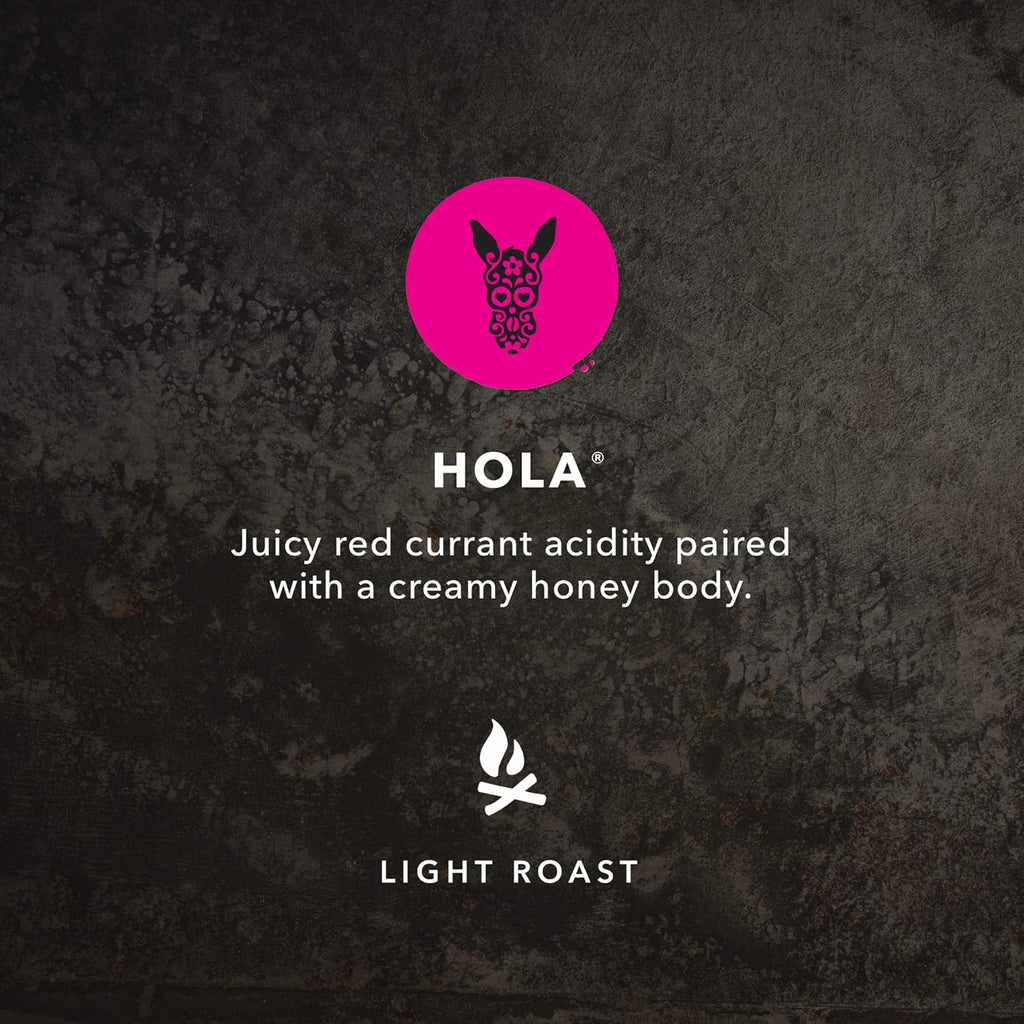 Kicking Horse Coffee Hola, Light Roast, Ground, 284 g (Pack of 6) - Certified Organic, Fairtrade, Kosher