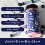 NPG Frezee-Dried Blueberry Powder 7 Oz, Seedless Fine Powder from Wild Wild Blueberries for Smoothies, Baking, Beverages, and Natural Food Coloring, No Sugar Added, Non-GMO