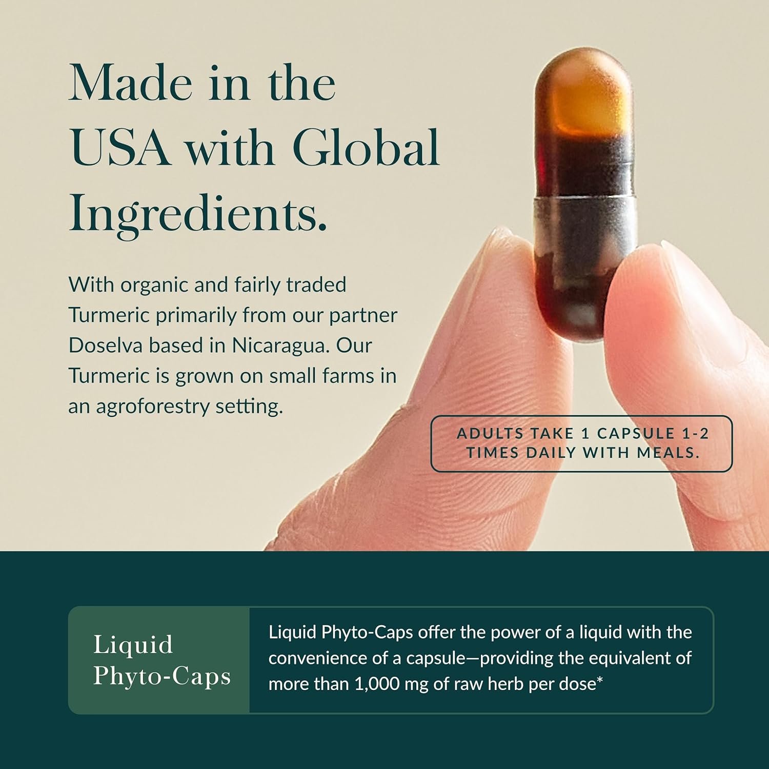 Gaia Herbs Turmeric Supreme Extra Strength - Supports Occasional Swelling from Normal Wear & Tear - with Turmeric Curcumin & Black Pepper - 60 Vegan Liquid Phyto-Capsules (Up to 60-Day Supply)