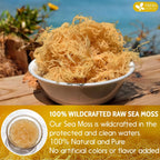 FRESHDRINKUS, Premium - Natural Sea Moss, Make 42oz of Gel, Goldne Raw Sea Moss Dried, 100% Natural & Pure, Wildcrafted, Sundried, Caffeine Free, Sugar Free, Gluten Free, Vegan, Mineral Rich