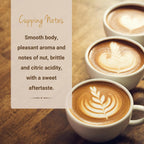 Cubico Coffee Medium Roast El Salvador Single Origin Coffee Pods, 10 Count, K-Cup Compatible