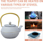 Japanese Tetsubin Cast Iron Teapot Tea Kettle pot with Stainless Steel Infuser for Stovetop Safe Coated with Enameled Interior (White, 1200ml)