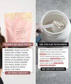 Truvani Vegan Pea Protein Powder | Vanilla Chai | 20g Organic Plant Based Protein | 1 Serving | Keto | Gluten & Dairy Free | Low Carb | No Added Sugar