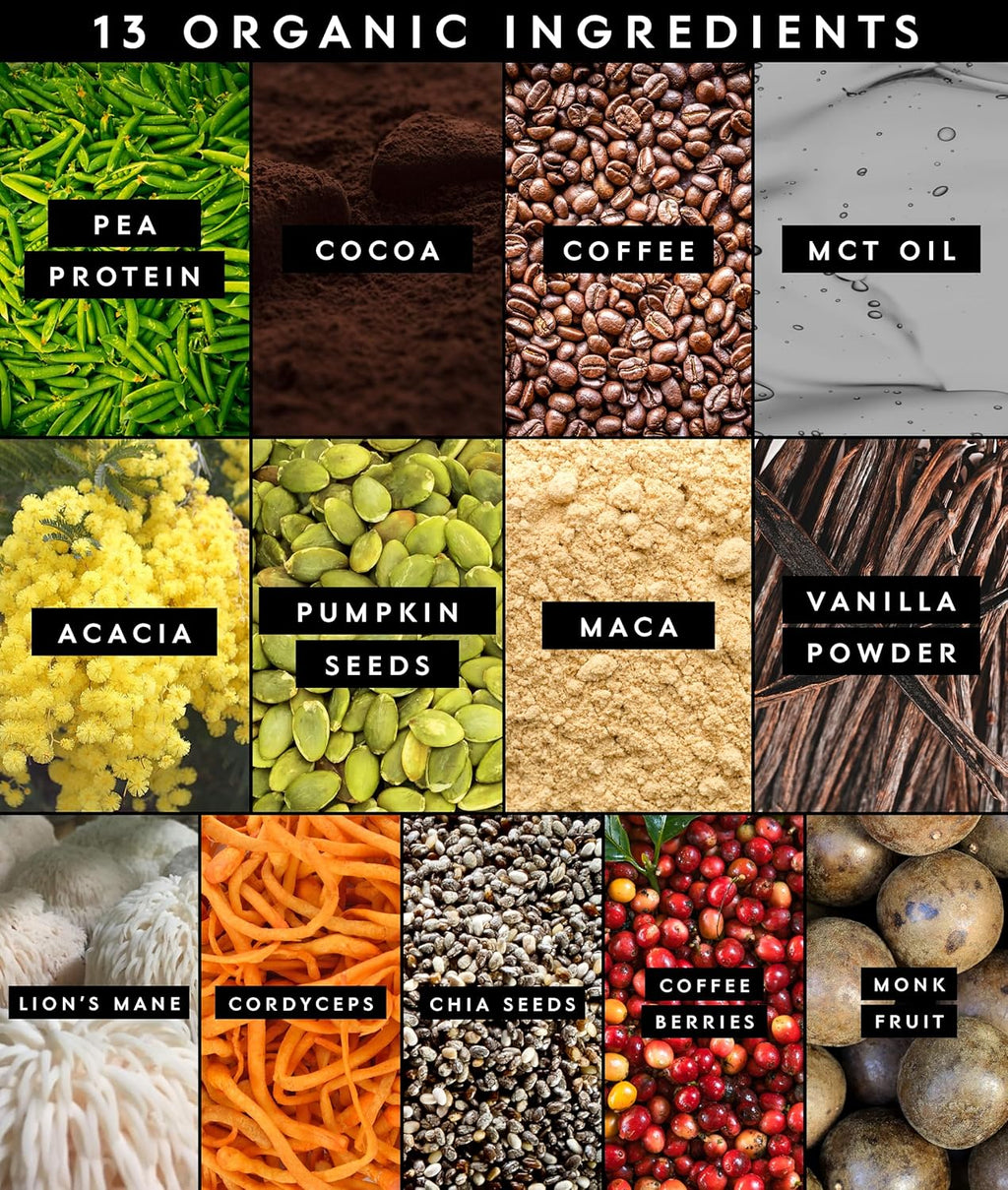 Truvani Protein + Energy Drink Mix with 87mg Caffeine | Chocolate Mocha | 12g Organic Plant Based Protein | 20 Servings | USDA Organic Coffee Powder & Adaptogens | Gluten & Dairy Free | Vegan