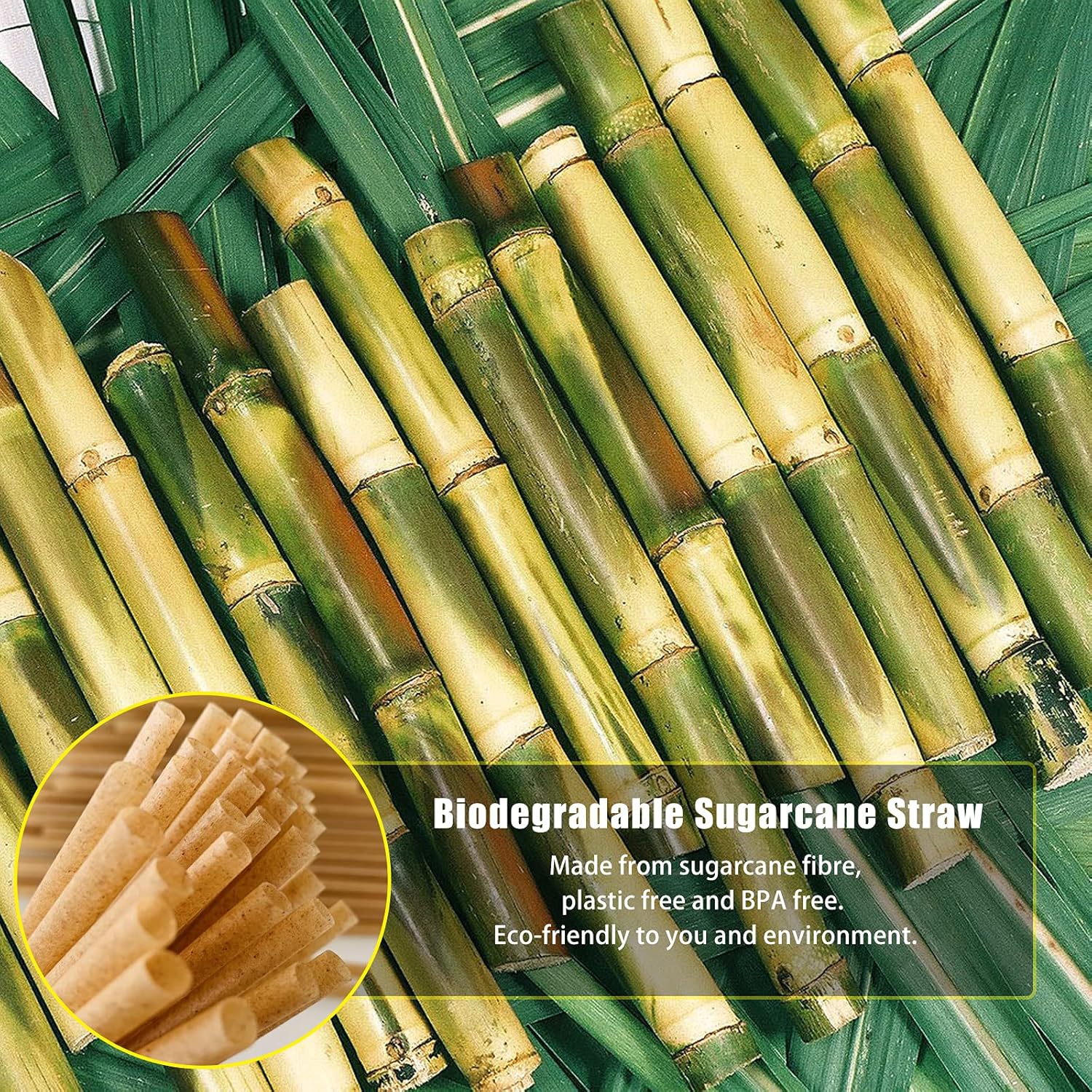 5 Inch 600pcs Biodegradable Cocktail Straws Made from Sugarcane Fiber A CompostableSturdy Drinking Straws for Hot and Cold Drinks Not Foggy Packed by 200 Count per box(3 packs)