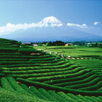 Palais des Thés - Tahitian Rooibos - Caffeine-Free Rooibos Tea with Vanilla & Almond- 3.5oz Loose Leaf Metal Gift Tin, Serves 20-25 Cups