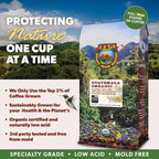 Low Acid Organic Coffee – Whole Bean, Mold-Free & Stomach Friendly by Java Planet, Guatemalan Single Origin Coffee, Medium Roast, Smooth Full Flavored, 2x1LB Bag