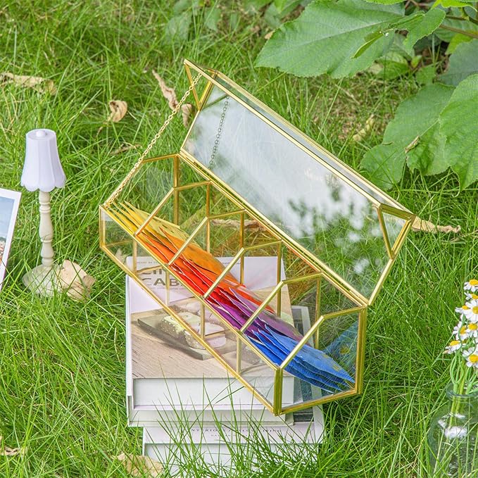 NCYP Glass Tea Bags Organizer with 5 Grids Compartments, Indoor Counter Top Brass Display Case with Lid, Storage Box, Gold, Decor, Teabag Storage, 14.5 x 3.6 x 3.66 Inches (Glass Box Only)