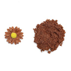 Copper Edible Luster Dust | 6 Grams Food Grade Cake Dust Shimmer Powdered, Edible Metallic Powder Food Coloring for Cake Decorating, Chocolates, Fondant, Drinks, Painting, Vegan