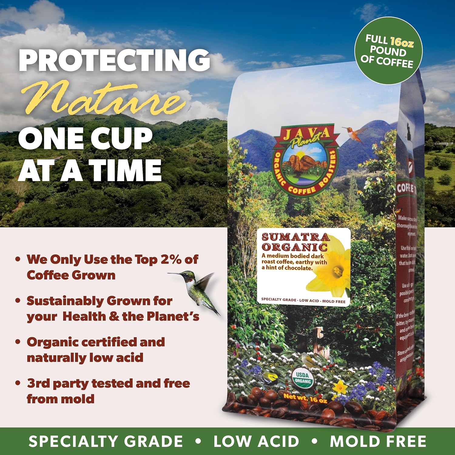 Low Acid Organic Coffee – Whole Bean, Mold-Free & Stomach Friendly by Java Planet, Sumatran Single Origin Coffee, Dark Roast, Smooth Full Flavored, 2x1LB Bag