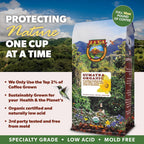 Low Acid Organic Coffee – Whole Bean, Mold-Free & Stomach Friendly by Java Planet, Sumatran Single Origin Coffee, Dark Roast, Smooth Full Flavored, 5LB Bag