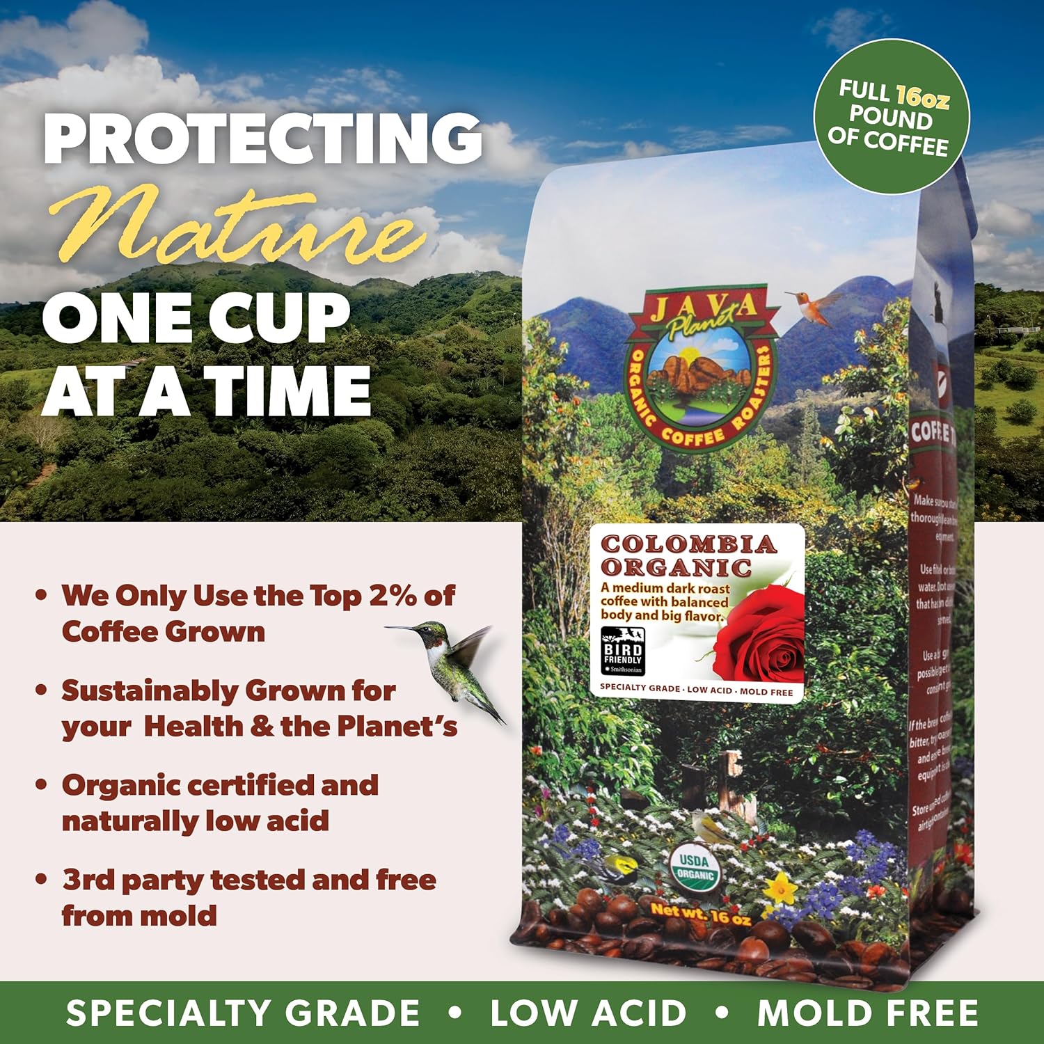 Low Acid Organic Coffee – Whole Bean, Mold-Free & Stomach Friendly by Java Planet, Colombian Single Origin, Medium Dark Roast, Smooth Full Flavored, 5LB Bag