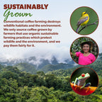 Low Acid Organic Coffee – Whole Bean, Mold-Free & Stomach Friendly by Java Planet, Sumatran Single Origin Decaf Coffee, Dark Roast, Smooth Full Flavored, 5LB Bag