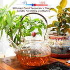 Glass Teapot with Removable Infuser, Stovetop Safe Glass Tea Kettle, 980 ml 33 oz, Clear Teapot for Loose Tea, Tea pot for Blooming Flower Tea and Loose Leaf, Tea Maker Gift