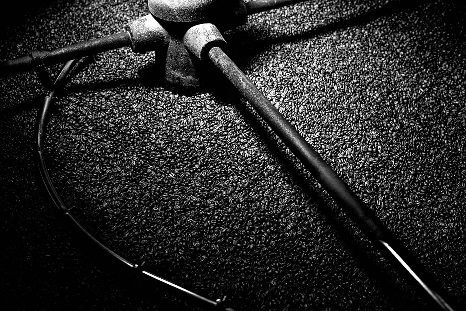 Bristot Cremoso Capsules compatible with Lavazza Blue* Machines | Medium Roast | 1050 Count