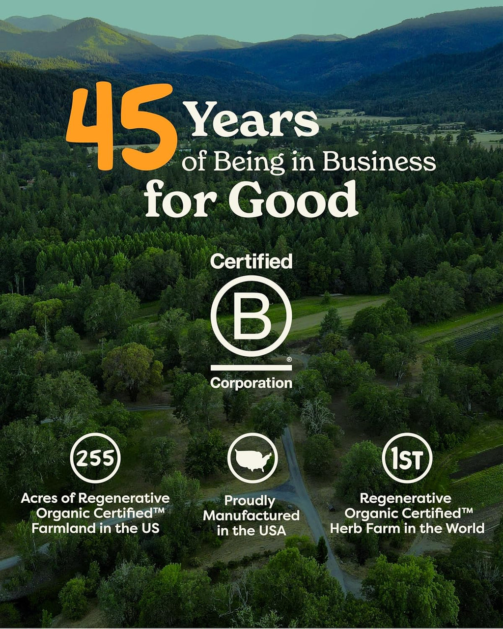 Herb Pharm Mullein Garlic Herbal Oil - contains Calendula, Garlic, Mullein flower, St. John's Wort, Olive Oil, 1 Ounce