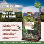 Low Acid Organic Coffee – Whole Bean, Mold-Free & Stomach Friendly by Java Planet, Espresso Blend Coffee, Dark Roast, Smooth Full Flavored, 5LB Bag