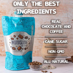 Lt. Blender's Mudslide Cocktail Mix - All Natural Creamy Rich Chocolate Coffee Blend, Easy to Make Slushy Cocktail, Resealable and Portable, 16 Servings per bag (Pack of 1)