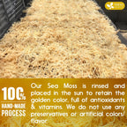 FRESHDRINKUS, Premium - Natural Sea Moss, Make 42oz of Gel, Goldne Raw Sea Moss Dried, 100% Natural & Pure, Wildcrafted, Sundried, Caffeine Free, Sugar Free, Gluten Free, Vegan, Mineral Rich