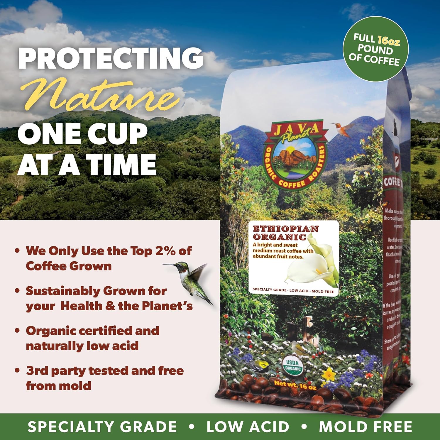 Low Acid Organic Coffee – Whole Bean, Mold-Free & Stomach Friendly by Java Planet, Ethiopian Single Origin Coffee, Medium Roast, Smooth Full Flavored, 1LB Bag