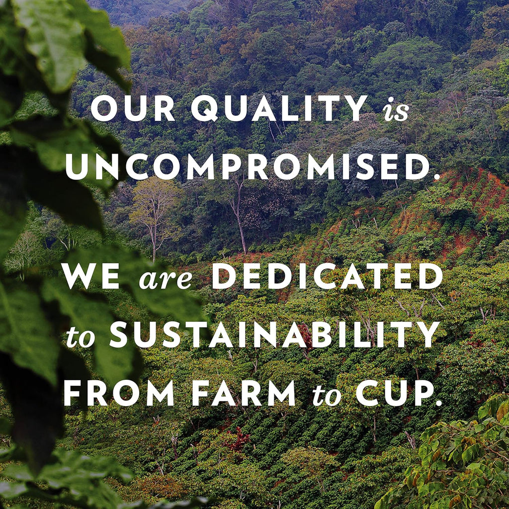 Community Coffee French Vanilla Flavored 12 Count Coffee Pods, Medium Roast, Compatible with Keurig 2.0 K-Cup Brewers, 12 Count (Pack of 1)