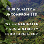 Community Coffee 100% Colombia 96 Count Coffee Pods, Medium Dark Roast, Compatible with Keurig 2.0 K-Cup Brewers, 24 Count (Pack of 4)